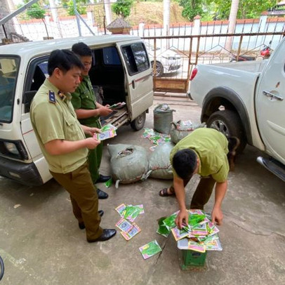 Ngăn chặn 6.500 túi hạt giống rau có dấu hiệu nhập lậu tại Lạng Sơn