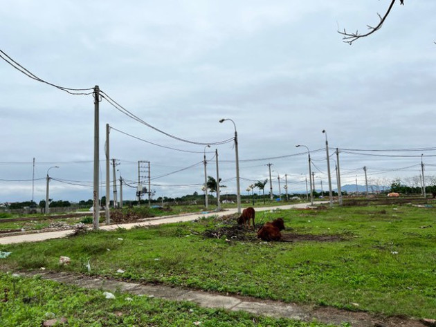 Ngăn chặn tham nhũng về đất đai - Ảnh 2.