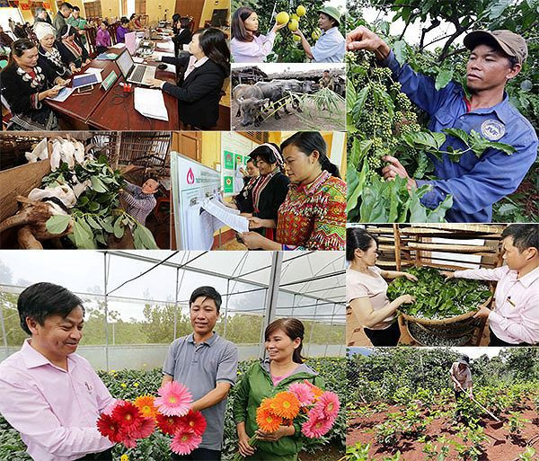 Ngân hàng cho vay nóng tới 30 triệu đồng trong ngày để xóa tín dụng đen - Ảnh 2.