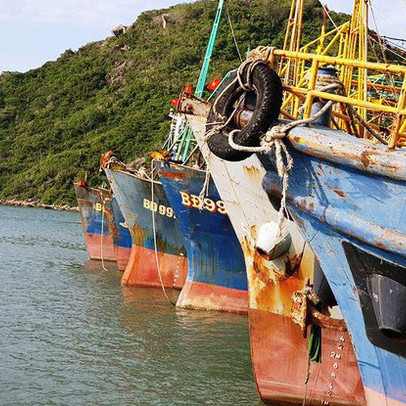 Ngân hàng khởi kiện chủ tàu vỏ thép ra tòa, yêu cầu trả nợ