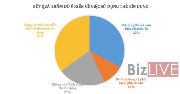 Ngân hàng nào đang có lãi suất thẻ tín dụng “dễ chịu” nhất hiện nay? - Ảnh 1.