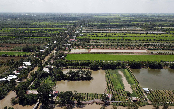 Ngân hàng rao bán khoản nợ trăm tỷ của Nông trường Sông Hậu