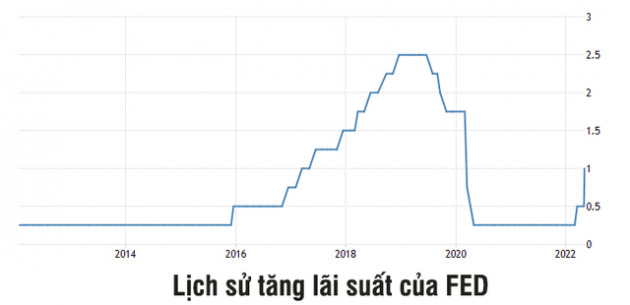 Ngân hàng trung ương châu Âu họp khẩn; Nhà đầu tư lo ngại FED tăng 1% lãi suất - Ảnh 2.