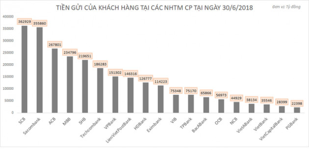 Ngân hàng tư nhân nào đang hút tiền gửi nhiều nhất? - Ảnh 1.