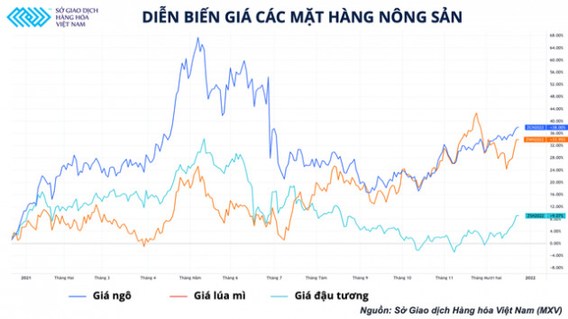 Ngành chăn nuôi nội địa vẫn ở thế khó vào quý I/2022 - Ảnh 1.