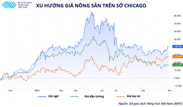 Ngành chăn nuôi trong nước thấp thỏm trước thời tiết lạnh giá ở Mỹ - Ảnh 1.