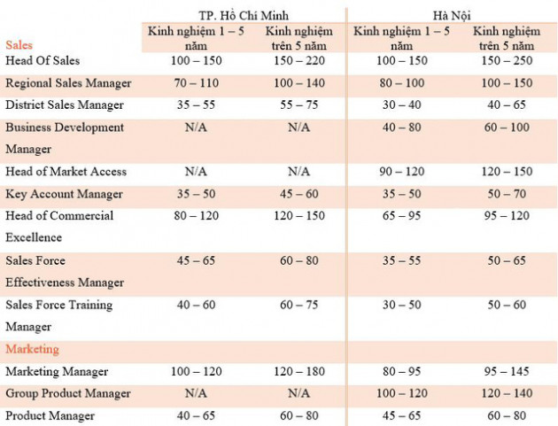 Ngành nào có mức lương cao nhất Việt Nam, lên tới 600 triệu đồng? - Ảnh 3.