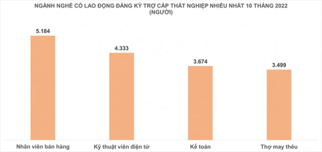 Ngành nghề nào có lao động mất việc nhiều nhất tại Hà Nội? - Ảnh 1.