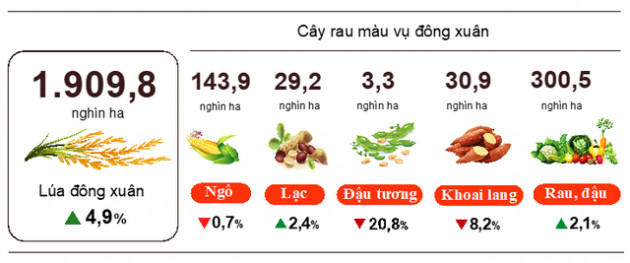 Ngành nông nghiệp tiếp tục thực hiện vai trò trụ đỡ cho nền kinh tế ngay từ tháng 1/2022 - Ảnh 1.