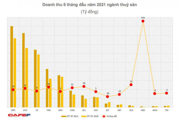 Ngành thuỷ sản nửa đầu năm 2021 tăng trưởng bất chấp dịch bệnh - Ảnh 1.