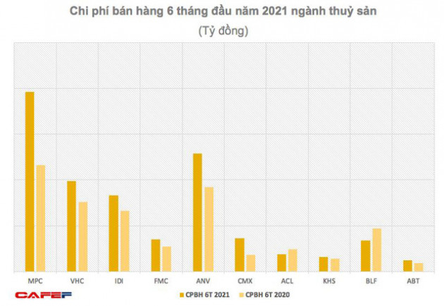 Ngành thuỷ sản nửa đầu năm 2021 tăng trưởng bất chấp dịch bệnh - Ảnh 2.