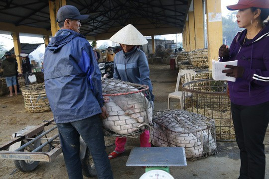  Nghề độc ở chợ heo lớn nhất Quảng Nam - Ảnh 25.