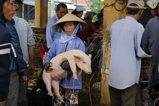  Nghề độc ở chợ heo lớn nhất Quảng Nam - Ảnh 32.