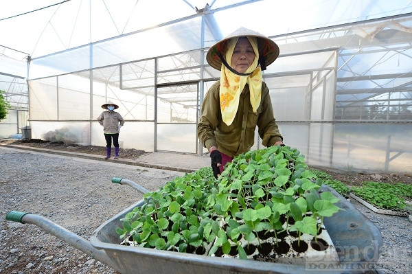 Nghịch lý “ai chơi với nông dân cũng giàu”