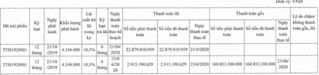 Nghịch lý ông lớn Trường Thịnh: Vốn 2.620 tỷ, kinh doanh từ BĐS nghỉ dưỡng đến năng lượng, BOT… song lãi nửa đầu năm vỏn vẹn 1,2 tỷ, tương đương ROE 0,05% - Ảnh 1.