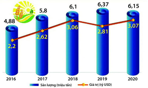 Nghịch lý thị trường xuất khẩu gạo Việt Nam