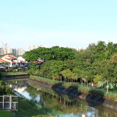 Ngôi làng đắt giá nhất Singapore: Tiền đất 6.700 tỷ, nhưng giá thuê nhà chỉ 17.000 đồng