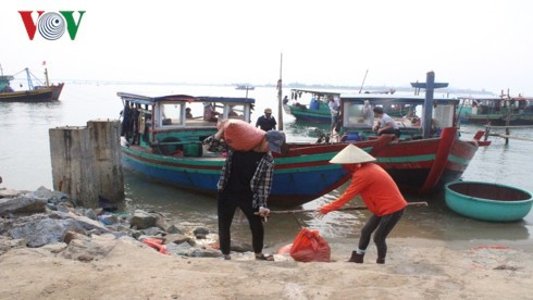 Ngư dân Hà Tĩnh thu tiền triệu mỗi ngày nhờ trúng “lộc trời” sò lụa