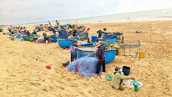 Ngư dân Vũng Tàu trúng đậm lộc biển đầu năm - Ảnh 13.