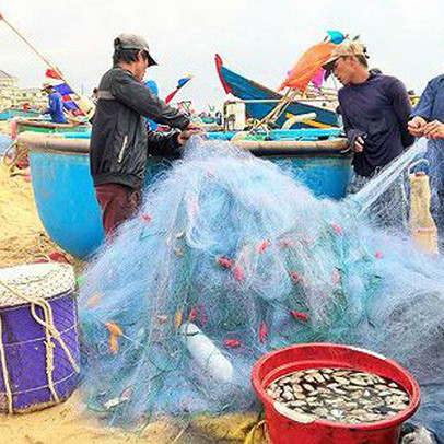 Ngư dân Vũng Tàu trúng đậm 'lộc biển' đầu năm