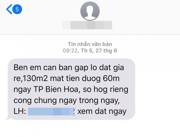 Người dân đau đầu nhức óc vì nạn call center, tin nhắn rác mời chào mua bất động sản - Ảnh 1.