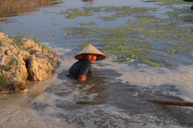 Người dân nguy cơ mất trắng tiền tỷ vì ốc hương chết hàng loạt - Ảnh 6.