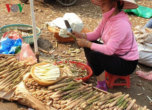 Người dân vùng cao bội thu nhờ “lộc rừng” mùa giáp hạt - Ảnh 3.