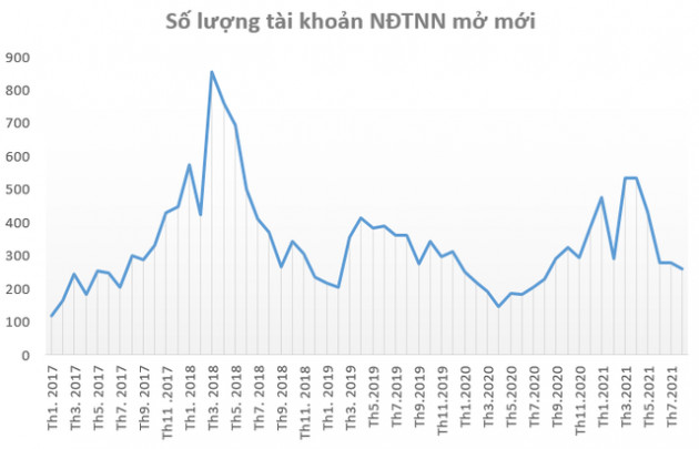 Người người đổ xô đầu tư chứng khoán, lượng tài khoản mở mới 8 tháng đầu năm lớn hơn 3 năm trước cộng lại - Ảnh 3.