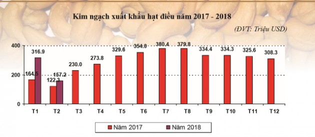 Nguồn cung hạn chế đẩy giá điều trong nước tăng cao - Ảnh 1.