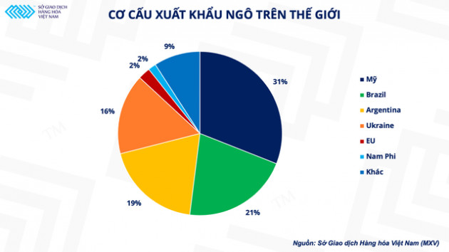 Nguồn cung ngô đang dần nới lỏng - gánh nặng về chi phí trong ngành chăn nuôi sẽ giảm bớt? - Ảnh 3.