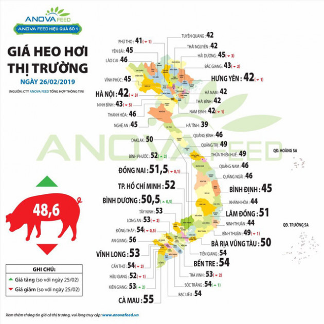 Nguy cơ dịch tả lợn Châu Phi “Nam tiến” bởi giá chênh lệch quá cao - Ảnh 1.