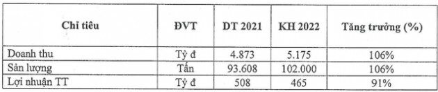 Nguyên liệu đầu vào tăng mạnh, Nhựa Tiền Phong (NTP) đặt mục tiêu lợi nhuận sụt giảm trong năm 2022 - Ảnh 2.