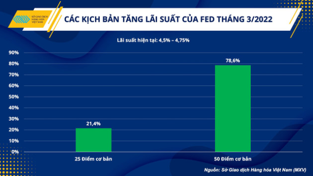 Nguyên vật liệu xây dựng tăng giá và bài toán đối với hoạt động đầu tư công - Ảnh 4.