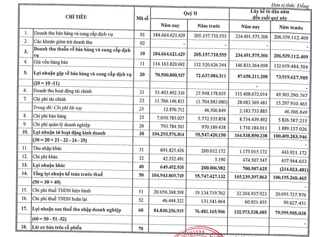 Nhà Đà Nẵng (NDN) lãi 133 tỷ đồng trong 6 tháng, tăng 66% so với cùng kỳ - Ảnh 1.