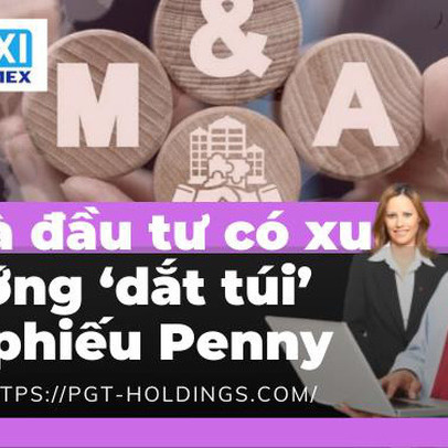 Nhà đầu tư có xu hướng ‘dắt túi’ cổ phiếu Penny, đón sóng phục hồi quý IV