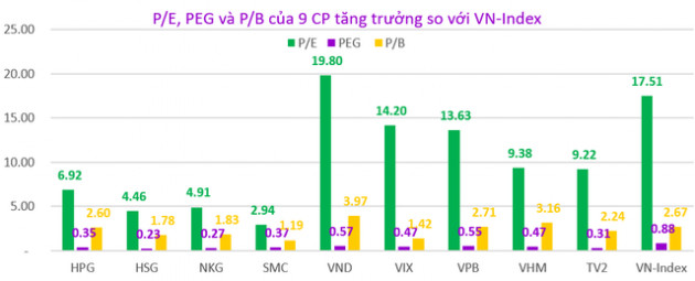 Nhà đầu tư mới nên lựa chọn cổ phiếu ra sao để giảm thiểu rủi ro? - Ảnh 3.