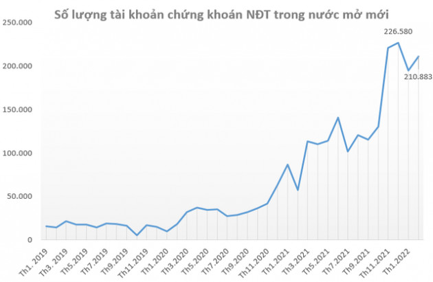 Nhà đầu tư trong nước mở mới hơn 210.000 tài khoản chứng khoán trong tháng 2 - Ảnh 1.