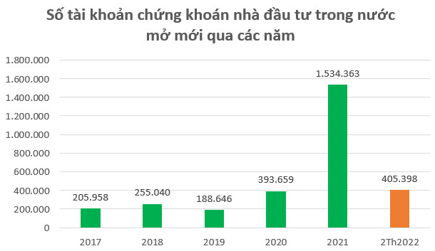 Nhà đầu tư trong nước mở mới hơn 210.000 tài khoản chứng khoán trong tháng 2 - Ảnh 2.