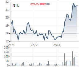 Lideco (NTL): Quý 1/2019 lãi 36 tỷ đồng tăng 264% so với cùng kỳ - Ảnh 1.