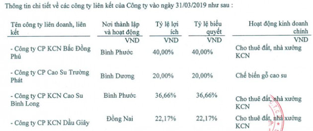 Nhận cổ tức đột biến, Nam Tân Uyên (NTC) báo lãi quý 1 gấp đôi cùng kỳ năm trước - Ảnh 1.