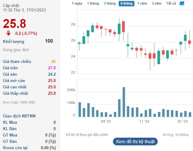 Nhận cổ tức từ công ty liên kết, một doanh nghiệp cảng biển báo lãi quý 4 tăng 30% - Ảnh 2.