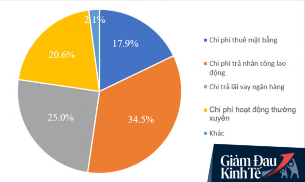 Nhân công, mặt bằng, lãi ngân hàng... đâu là gánh nặng lớn nhất của doanh nghiệp Việt thời COVID-19? - Ảnh 4.