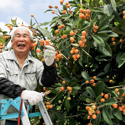 Nhật Bản: Người trẻ đổ xô ra nước ngoài, người già chật vật bù đắp thiếu hụt lao động