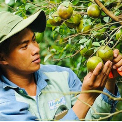 Nhiều chính sách ưu đãi đón làn sóng đầu tư vào nông nghiệp