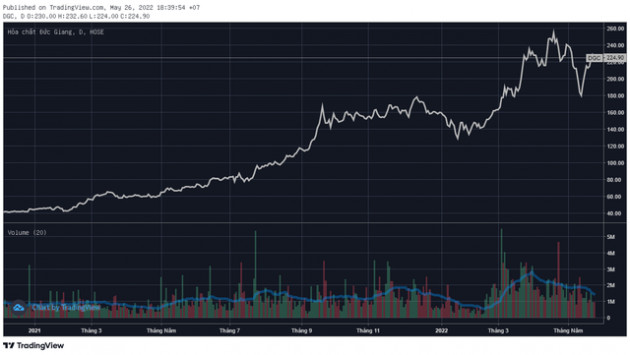 Nhiều cổ phiếu cơ bản đang âm thầm quay về đỉnh cũ bất chấp thị trường giảm sâu - Ảnh 4.