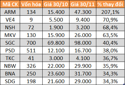 Nhiều cổ phiếu tăng trên 50% trong tháng 11 - Ảnh 3.