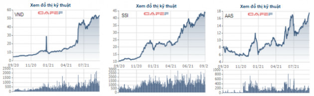 Nhiều công ty chứng khoán cán đích sớm lợi nhuận năm 2021, đã có những công ty xin nâng kế hoạch - Ảnh 3.