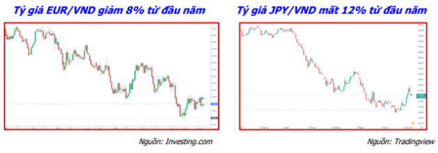 Nhiều doanh nghiệp có thể hưởng lợi lớn trong môi trường tỷ giá biến động - Ảnh 1.