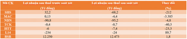 Nhiều doanh nghiệp đổi màu lỗ, lãi sau soát xét - Ảnh 1.