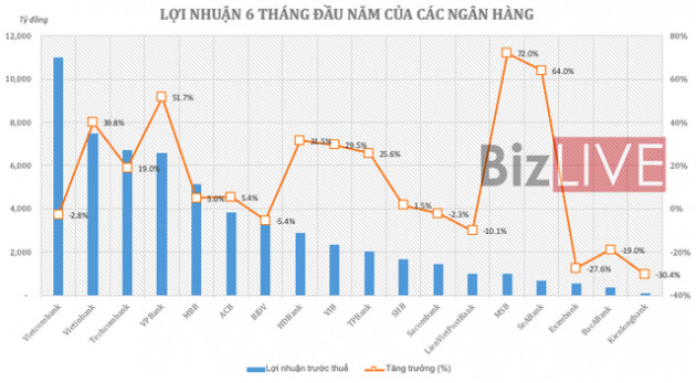 Nhiều ngân hàng đứt gãy tăng trưởng lợi nhuận - Ảnh 1.